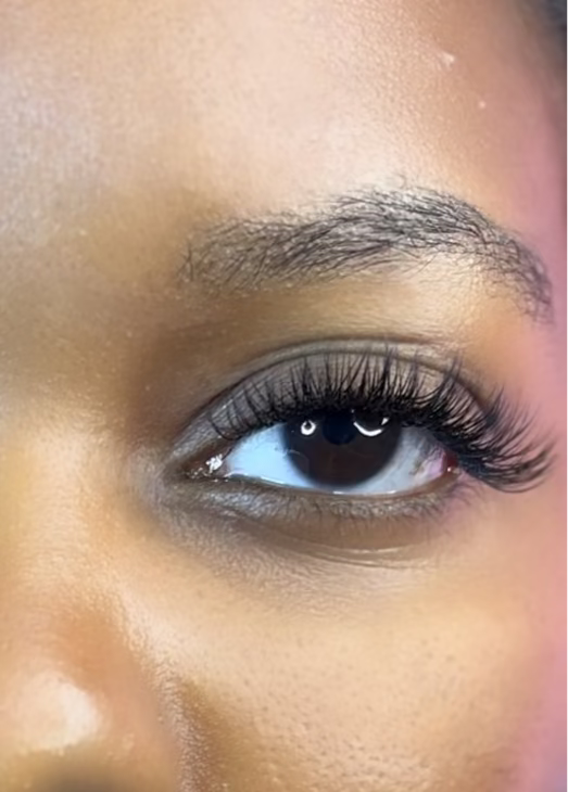 Classic Chic Fill